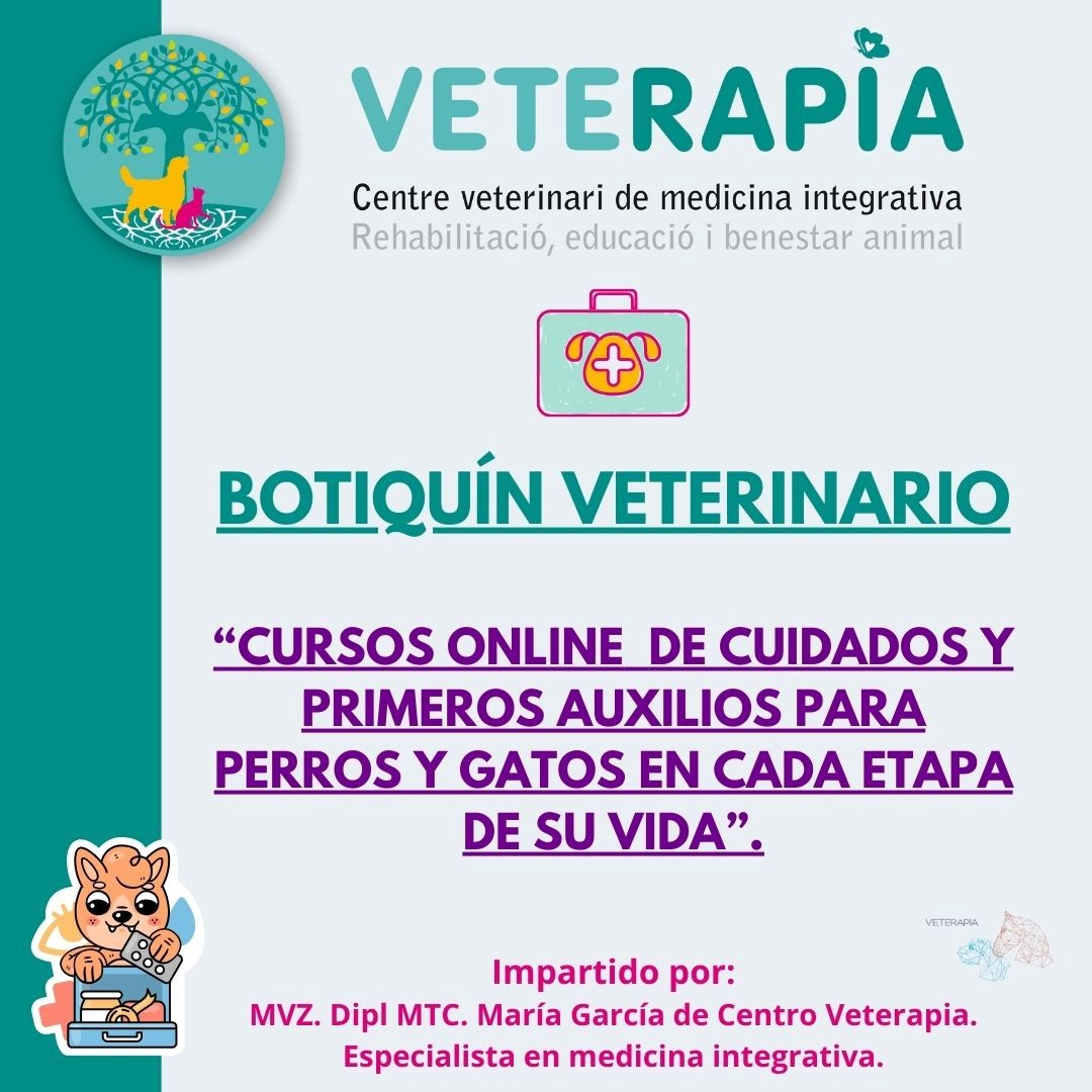 CURSO ONLINE 